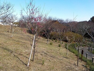 第二東屋付近.jpg