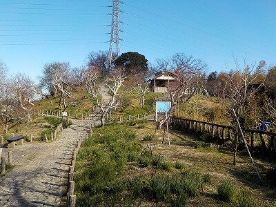 第一東屋付近.jpg