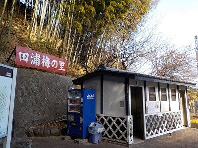泉町側登口（男坂）広場.jpg
