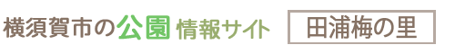 横須賀市の公園情報サイト 田浦梅の里